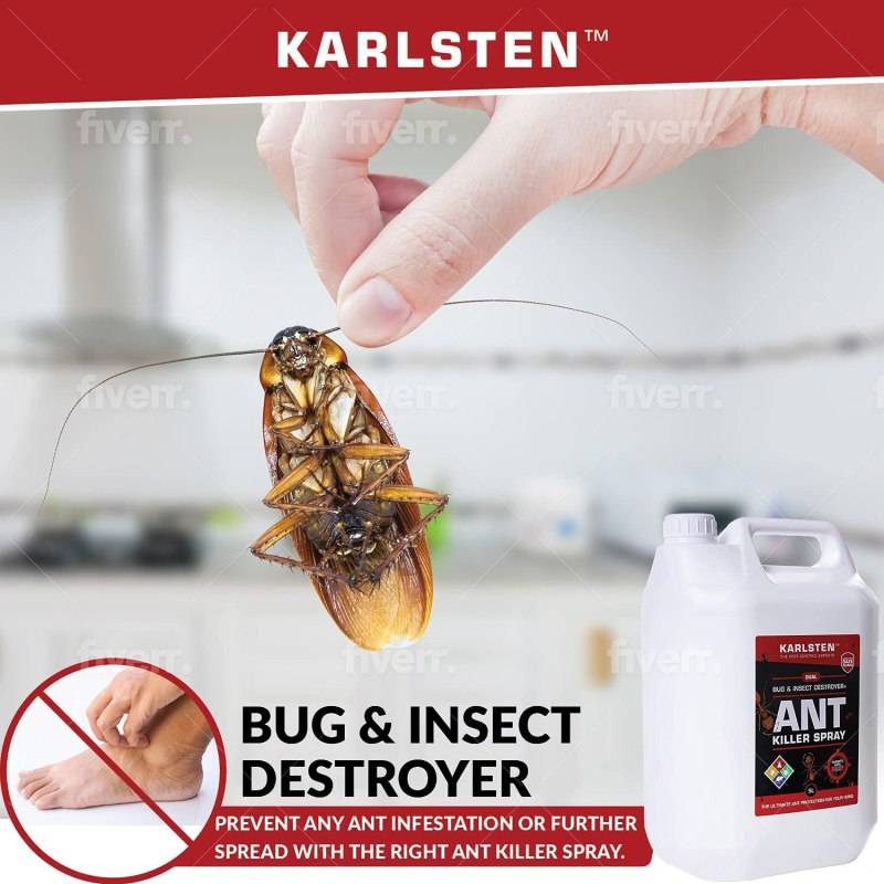 Best Dog Friendly Ant Killer