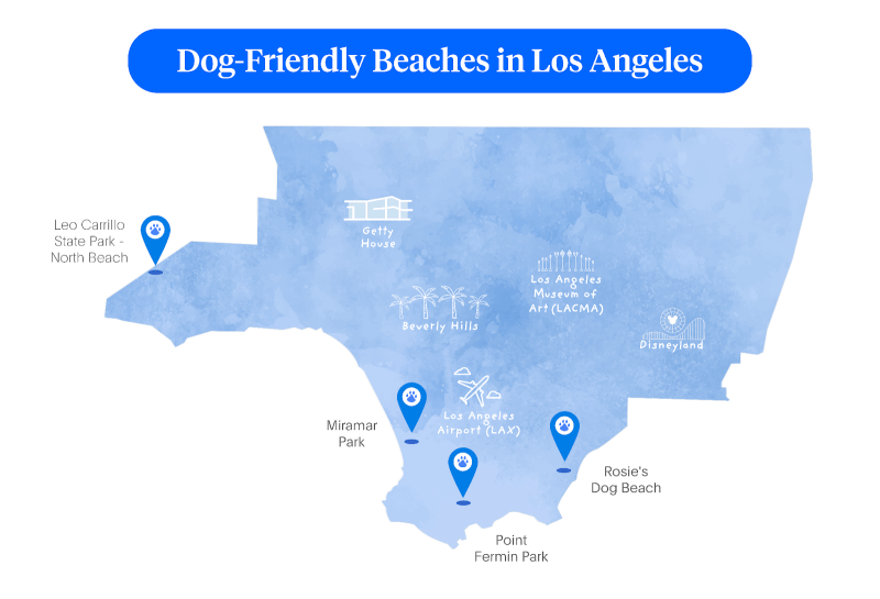 Best Dog Friendly Destinations Usa