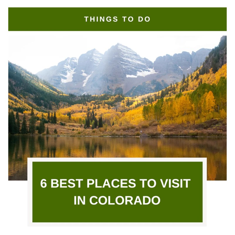 Best Dog Vacations In Colorado