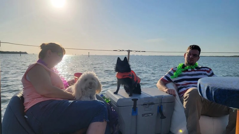 Boat Trips With Dogs Near Me