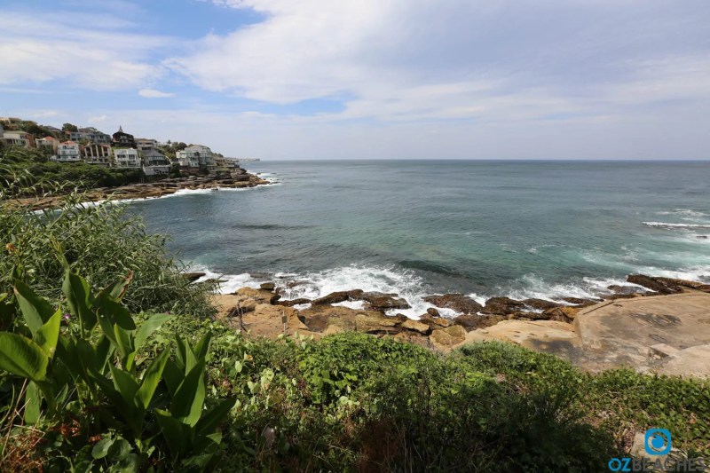 Dog Friendly Beaches Eastern Suburbs