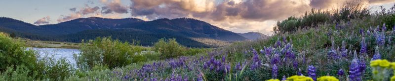 Dog Friendly Lodging Near June Lake Ca