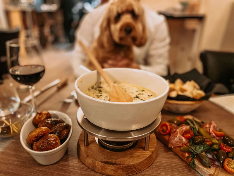 Dog Friendly Pubs With Food Near Me