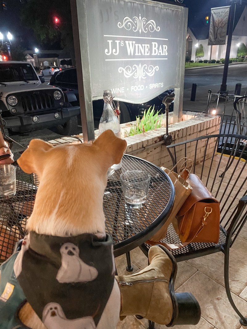 Dog Friendly Restaurants Near Me Now