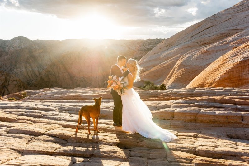 Pet Friendly Lodging Zion Ut