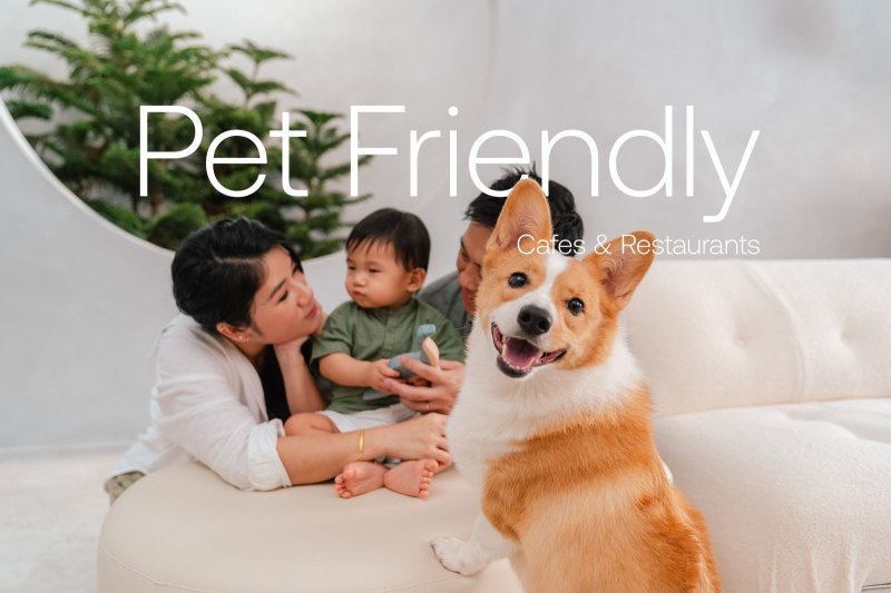 Pet Friendly Places To Visit Near Me