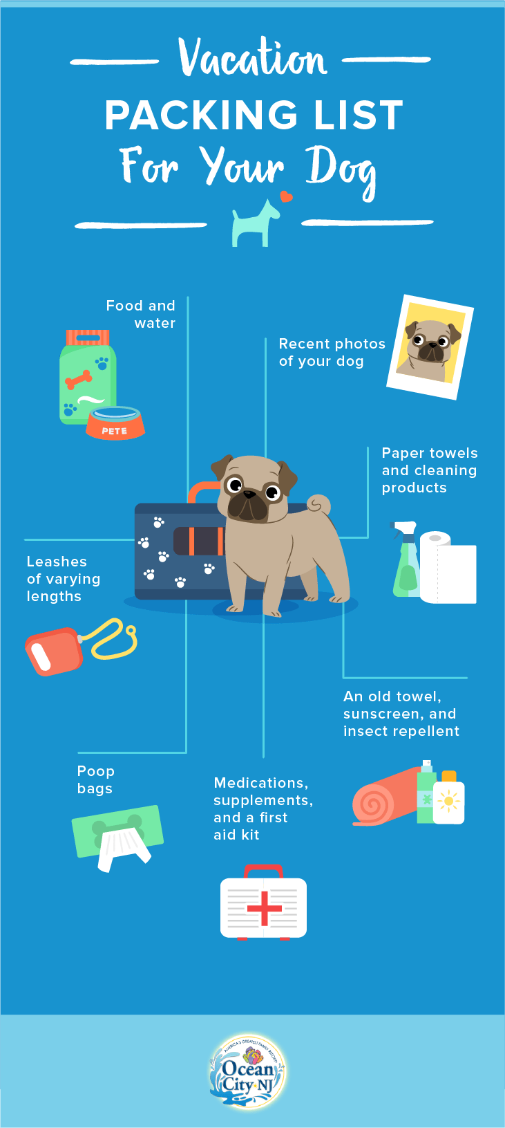 Vacations To Take With Your Dog