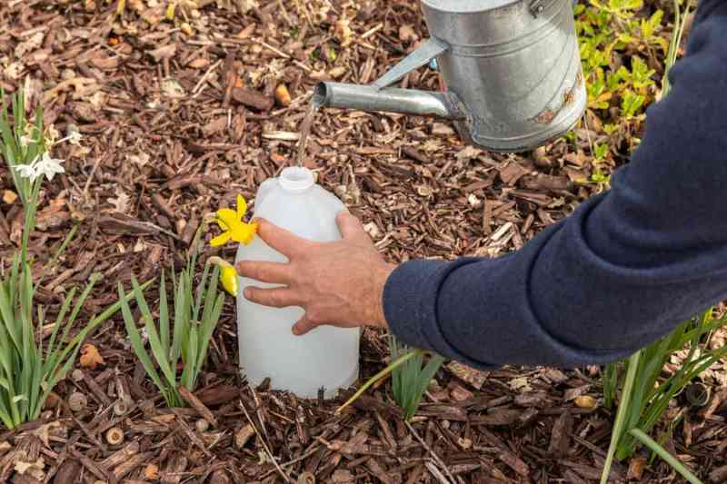 Watering System For Plants While On Vacation