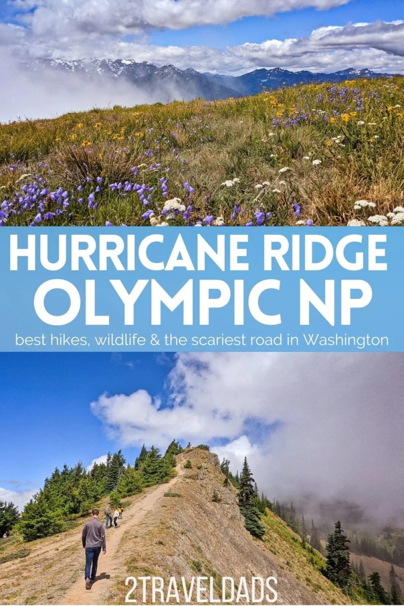 Best Day Hikes In Olympic National Park