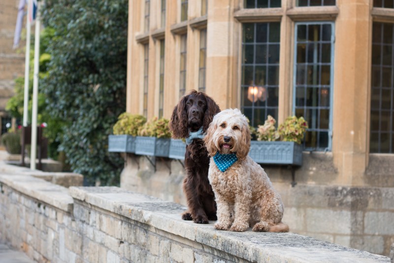 Best Dog Friendly Hotels Cotswolds