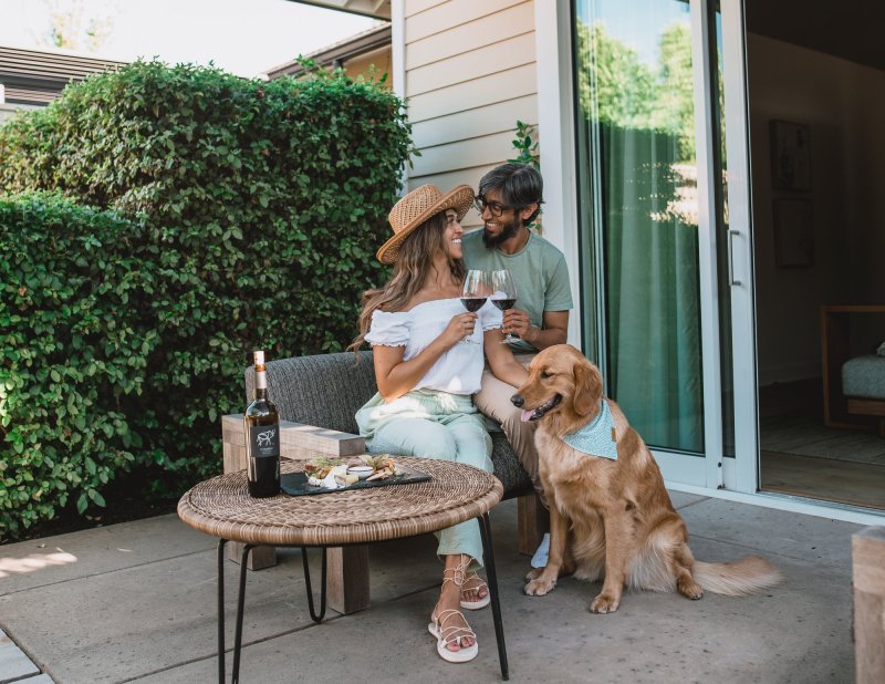 Best Dog Friendly Hotels In Napa Valley