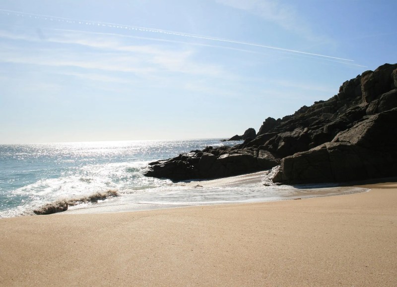 Dog Friendly Beaches East Coast Uk