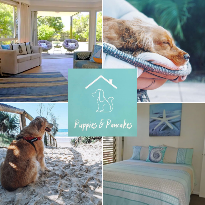 Dog Friendly Holidays Queensland