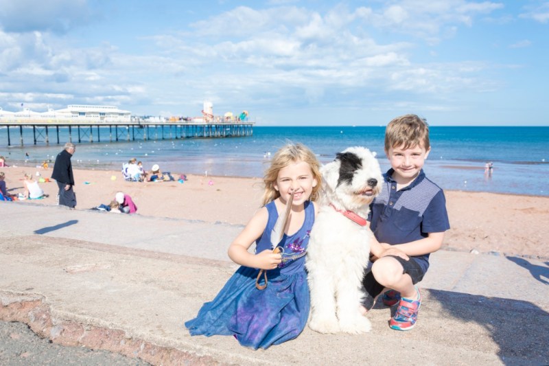 Dog Friendly Holidays Torquay