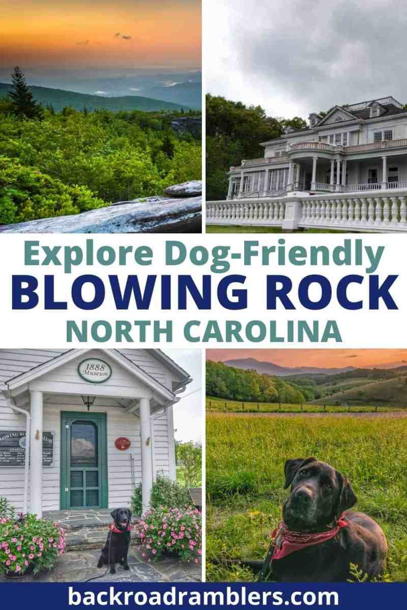 Dog Friendly Vacations In North Carolina