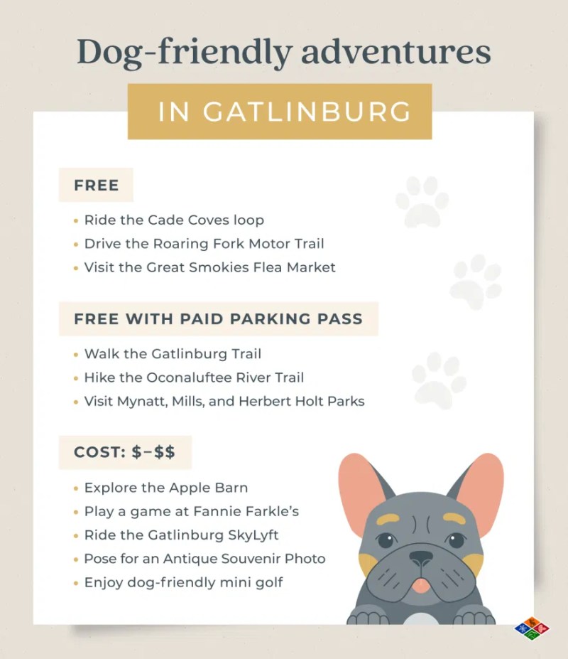 Dog Friendly Vacations In Tennessee