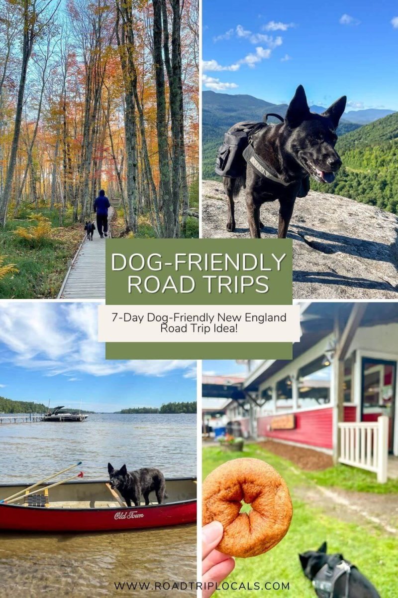 Dog Friendly Vacations New England